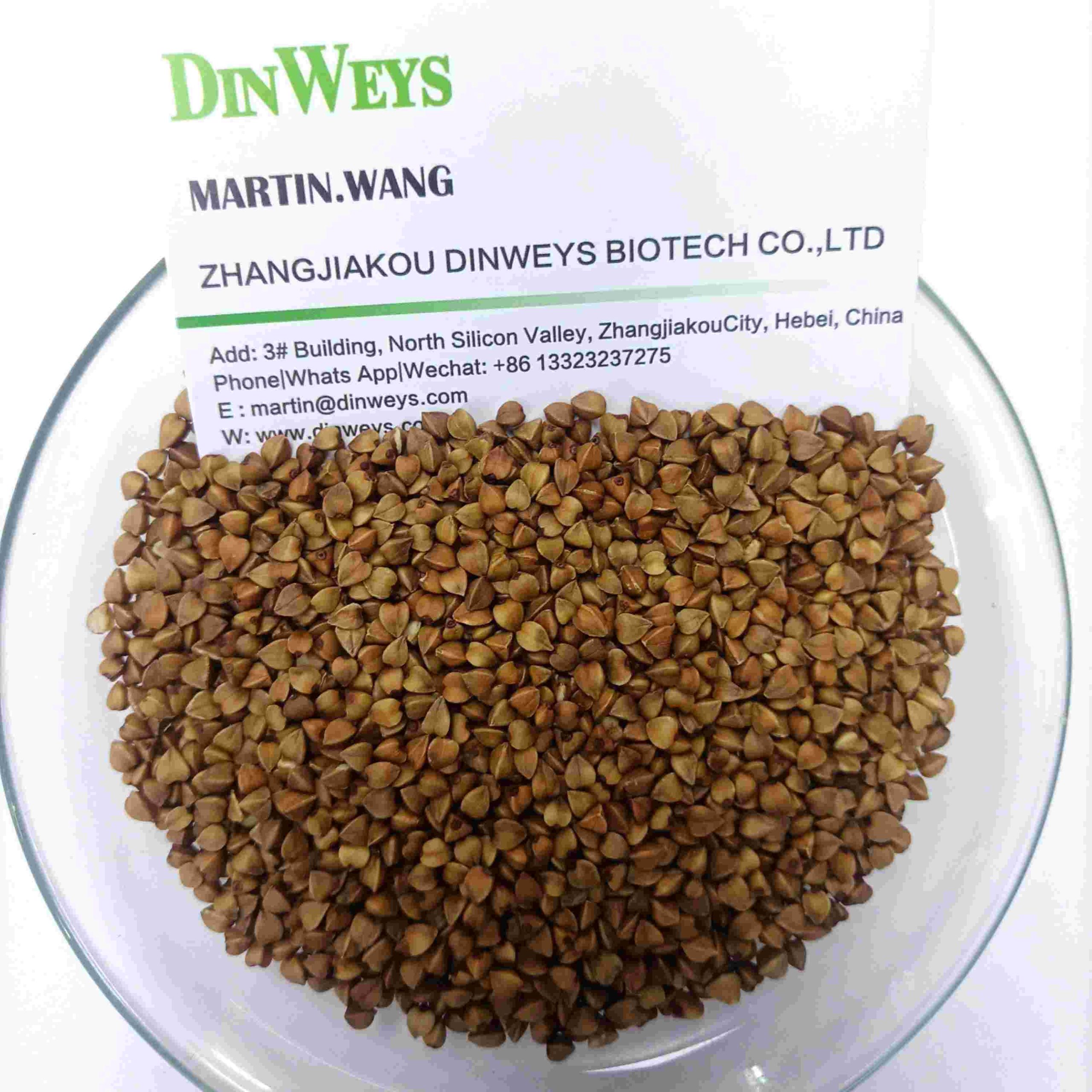 China Buckwheat Manufacturer Supply in Bulk