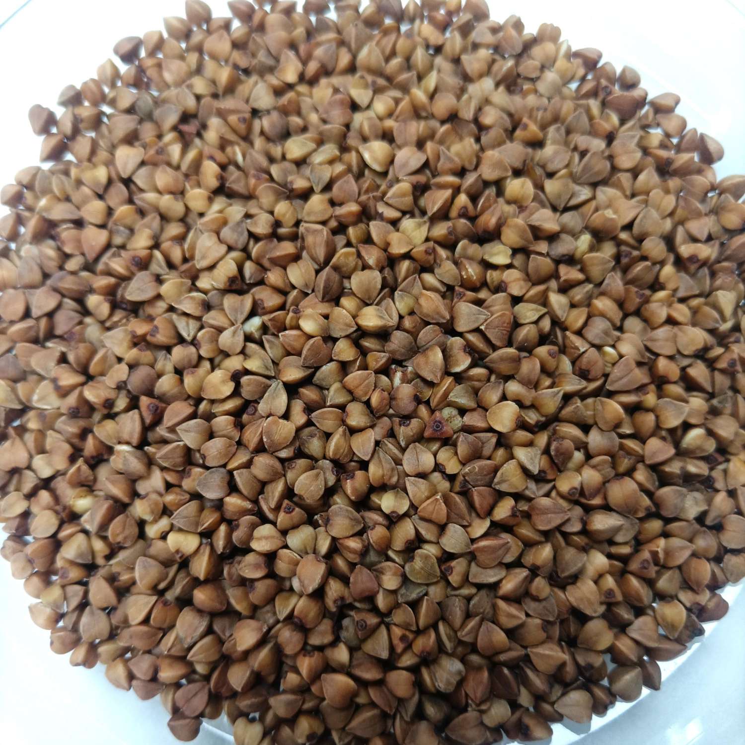 China Buckwheat Manufacturer Supply in Bulk