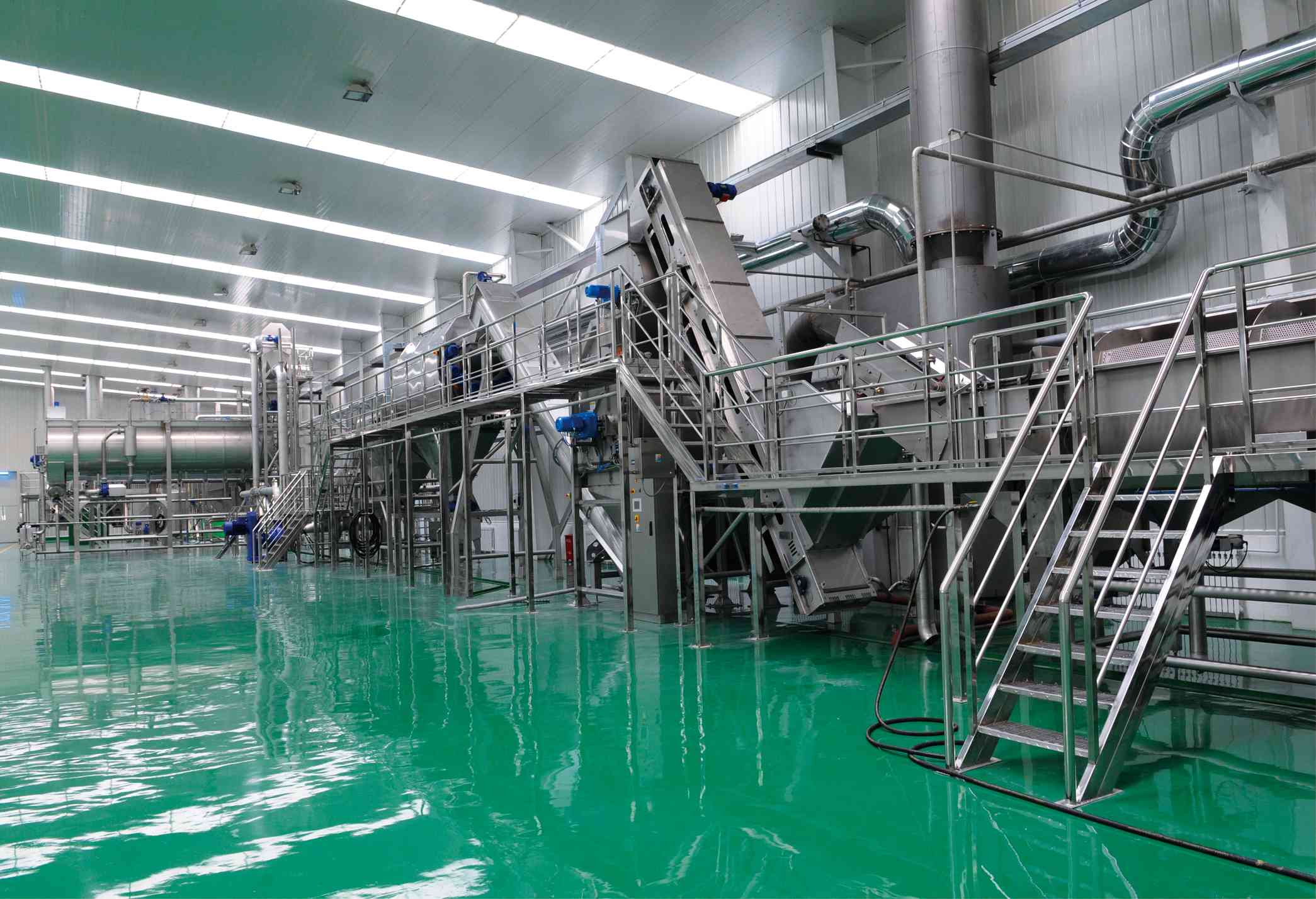 Potato Processing Line