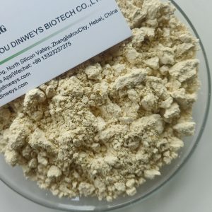 flaxseed meal bulk