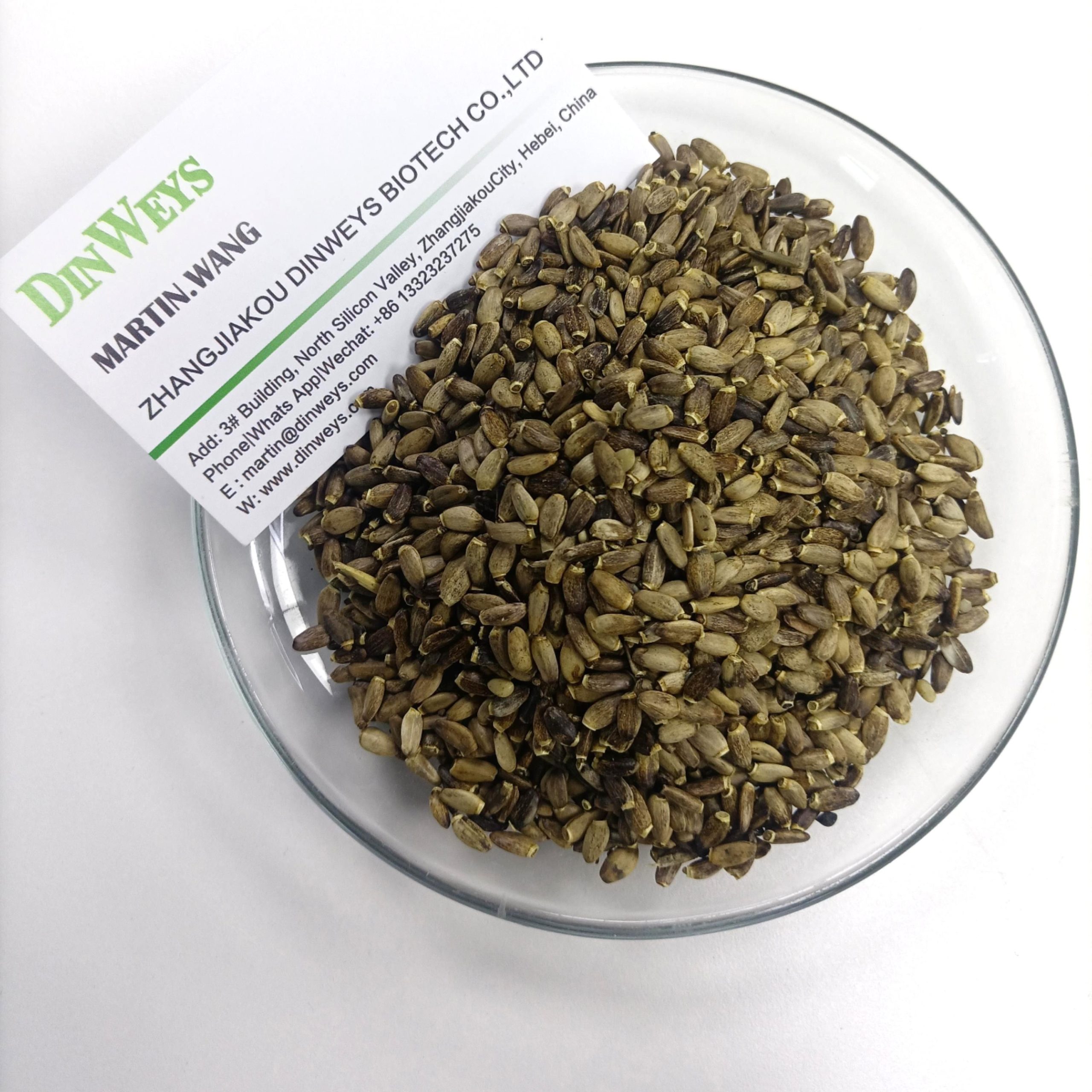 Milk Thistle Seed Bulk North China Production