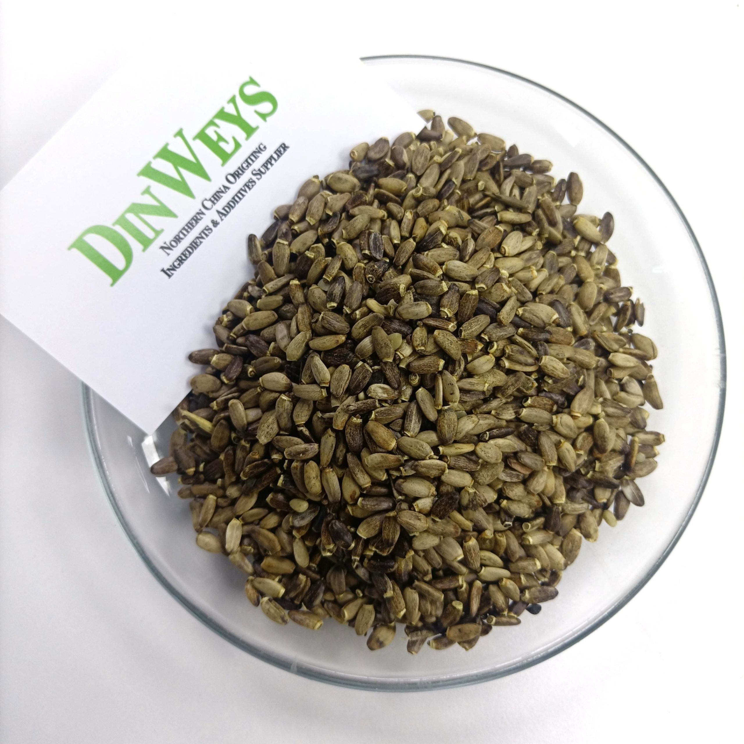 milk thistle seed