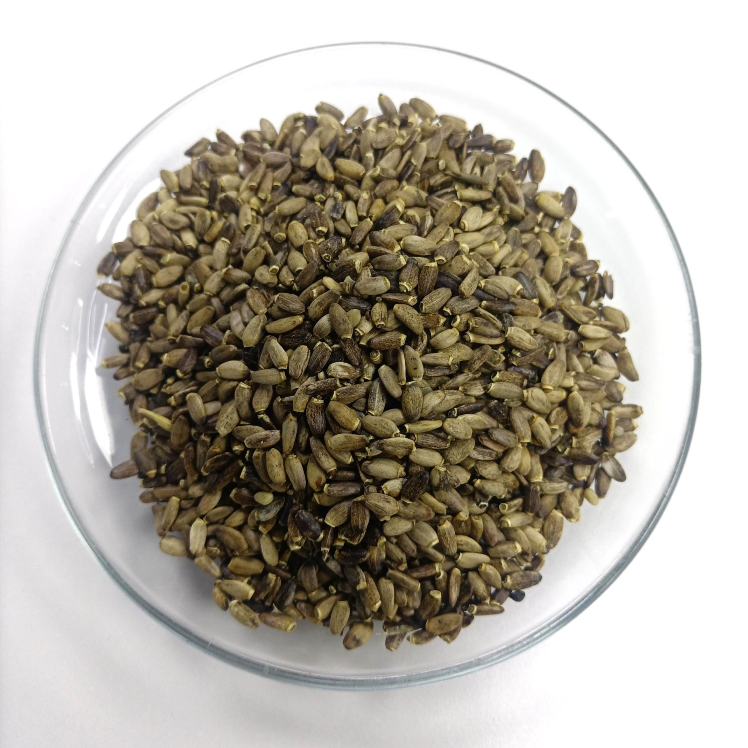 Milk Thistle Seed Best Price