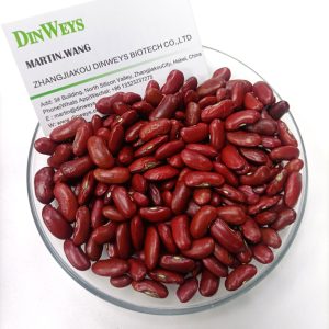 Red Kidney Beans supplier