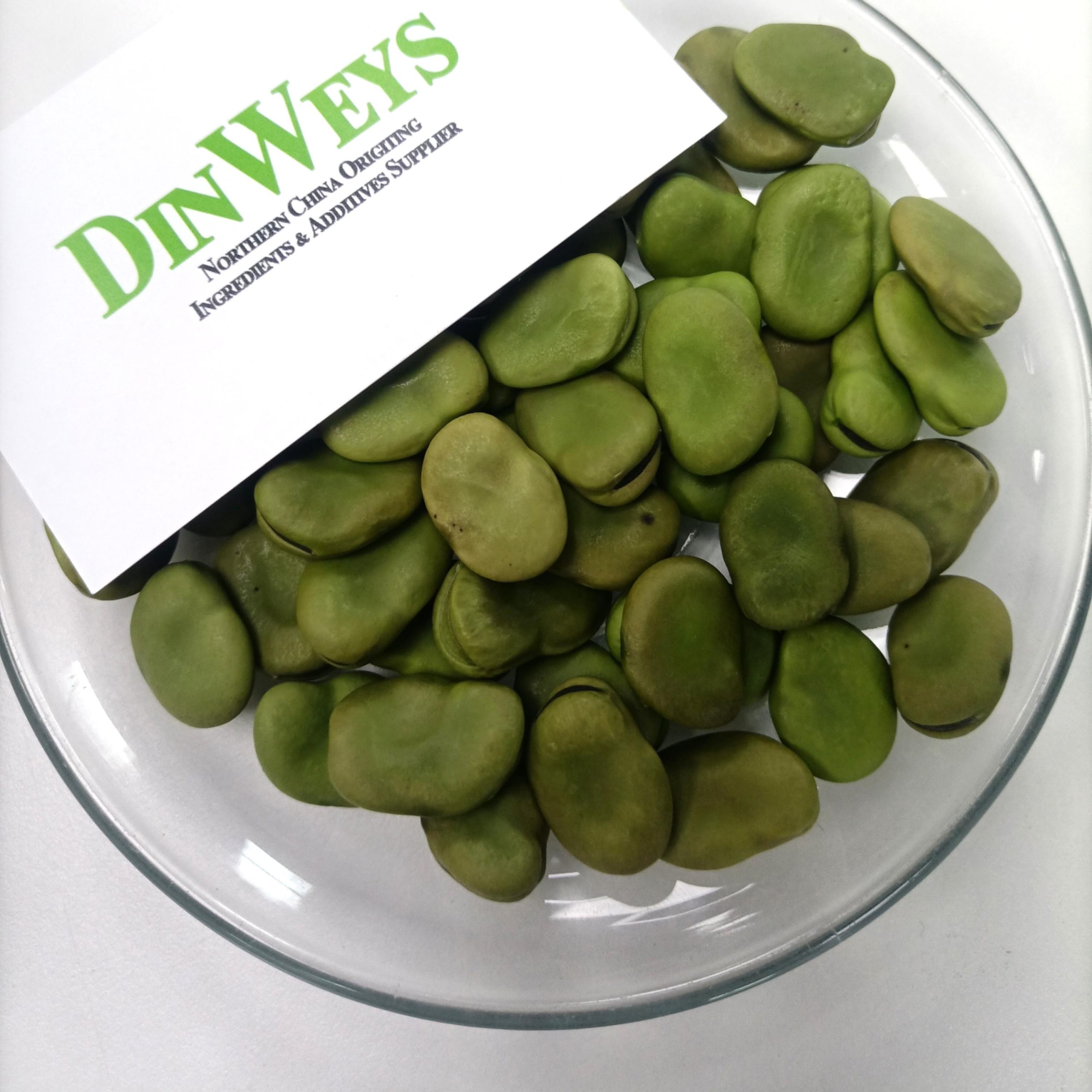 Dinweys Dried Fava Bean in Bulk (Broad Bean) New Production