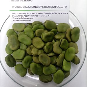 bulk broad beans