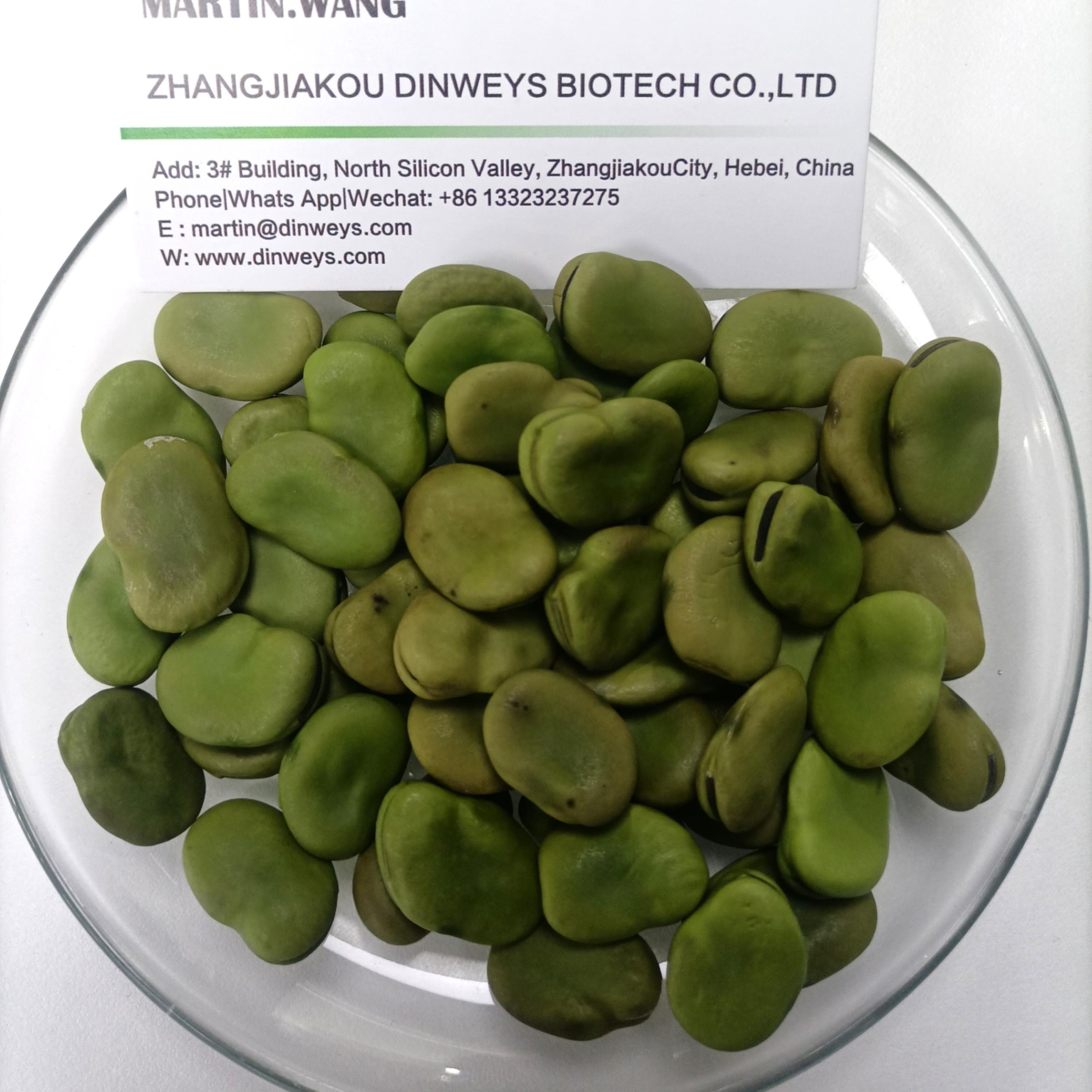 Dinweys Dried Fava Bean in Bulk (Broad Bean) New Production