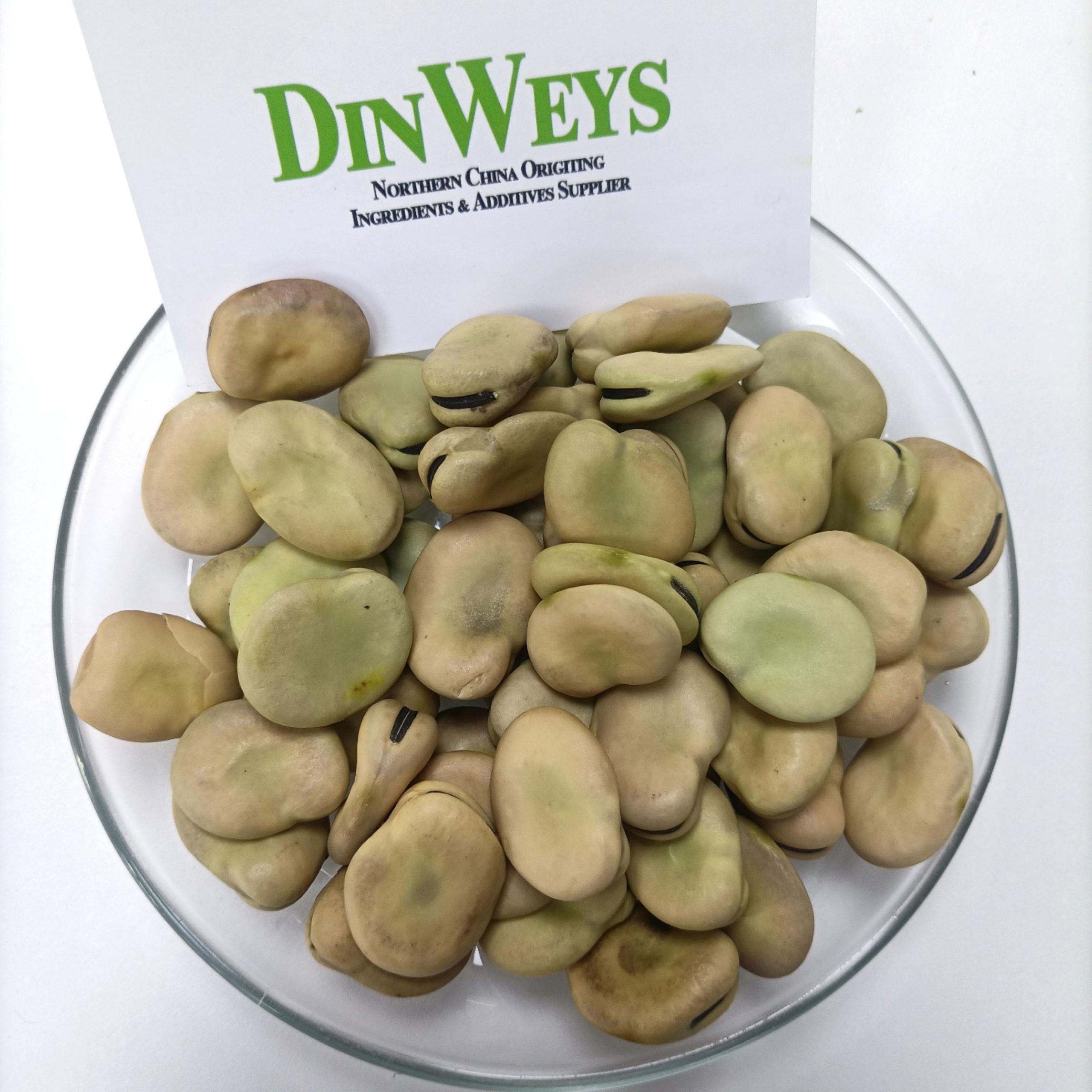 fava beans